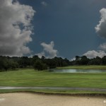 pond