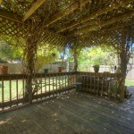 fir tree73