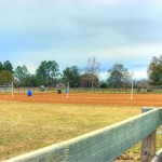 arena