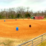 arena high