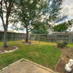 backyard1