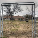 horse ring