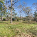 cow pasture