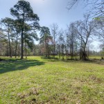 lower field