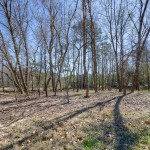 lower trees
