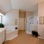 Master bath1