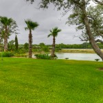 pond1